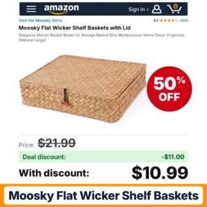 Moosky Flat Wicker Shelf Baskets – 50% off